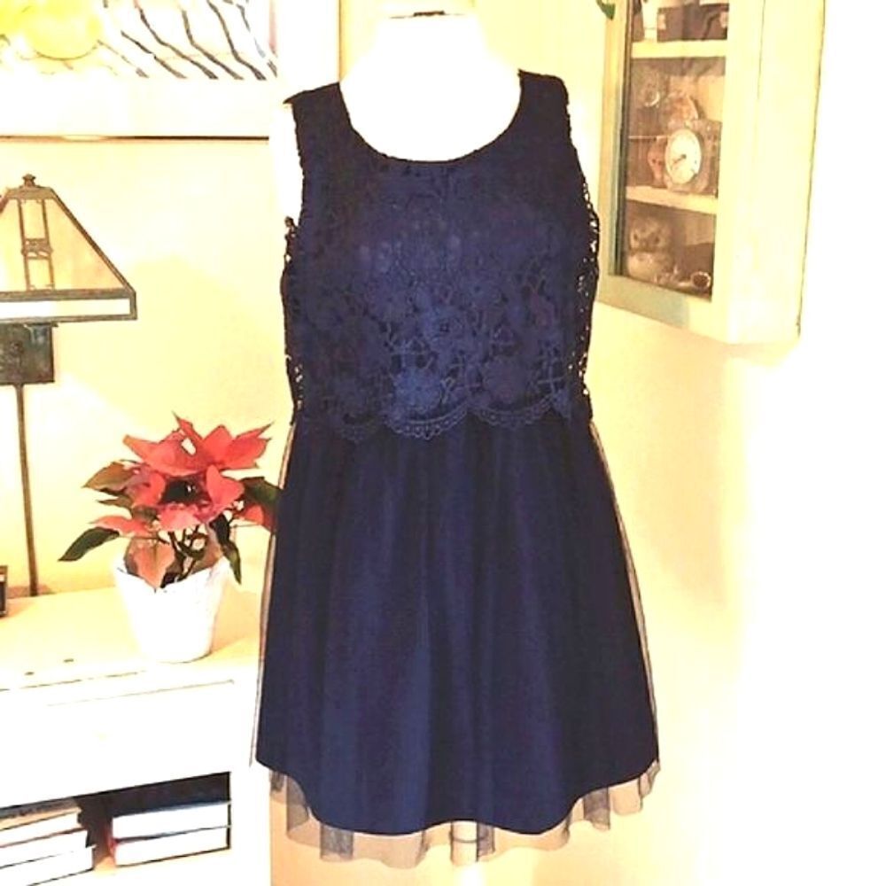 Dina Be Navy Lace and Tulle Dress